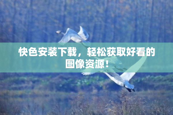 快色安装下载，轻松获取好看的图像资源！