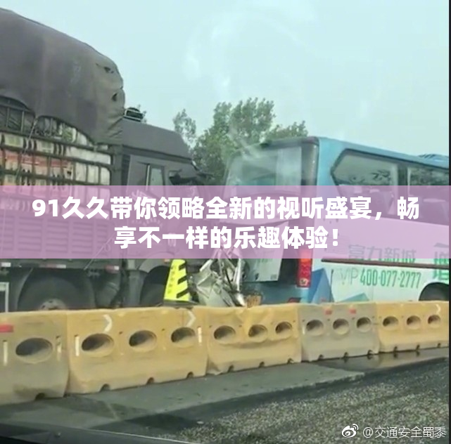 91久久带你领略全新的视听盛宴，畅享不一样的乐趣体验！