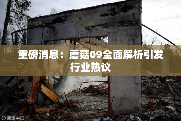 重磅消息：蘑菇09全面解析引发行业热议