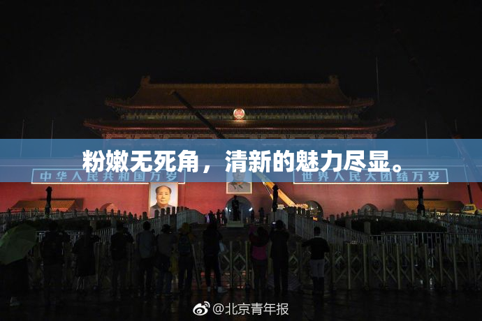 粉嫩无死角，清新的魅力尽显。