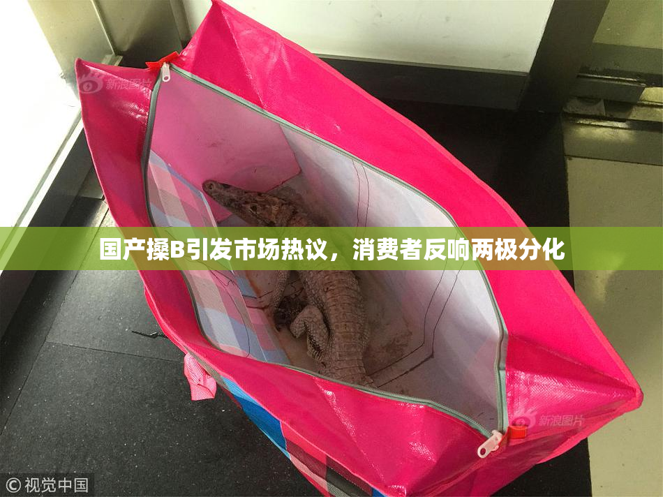 国产搡B引发市场热议，消费者反响两极分化