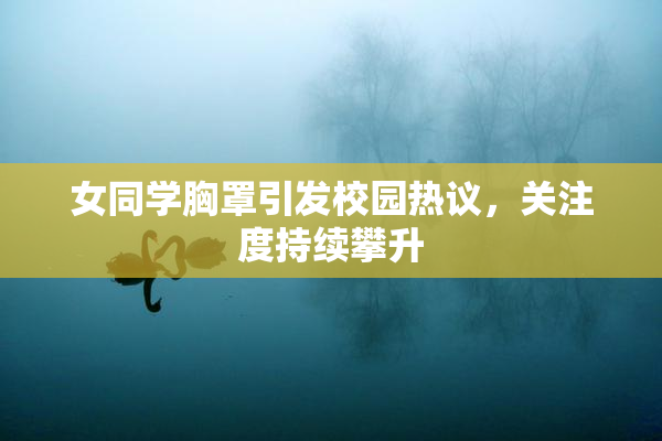 女同学胸罩引发校园热议，关注度持续攀升
