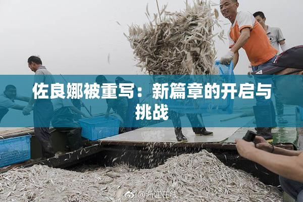 佐良娜被重写：新篇章的开启与挑战