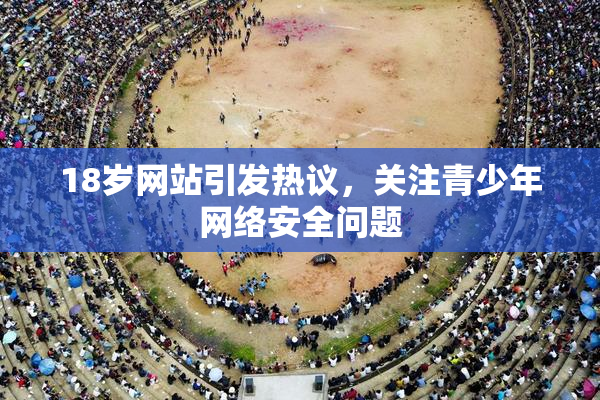 18岁网站引发热议，关注青少年网络安全问题