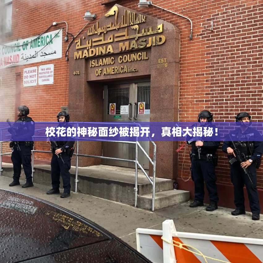 校花的神秘面纱被揭开，真相大揭秘！