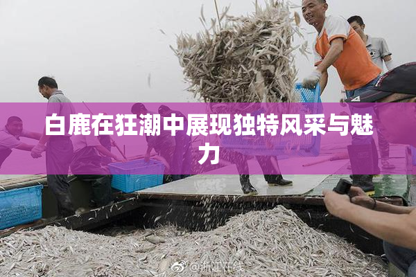 白鹿在狂潮中展现独特风采与魅力