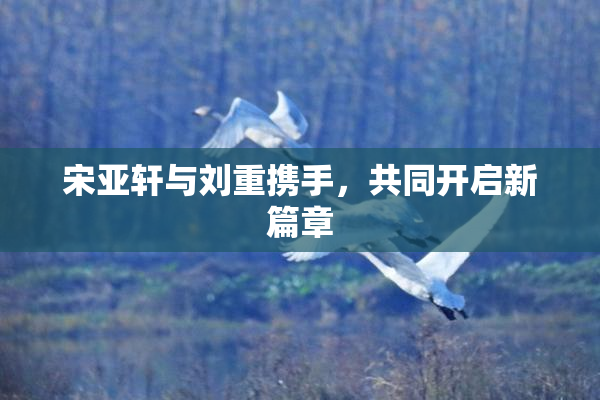 宋亚轩与刘重携手，共同开启新篇章