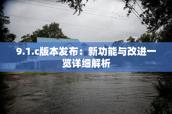 9.1.c版本发布：新功能与改进一览详细解析