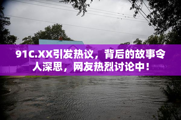 91C.XX引发热议，背后的故事令人深思，网友热烈讨论中！