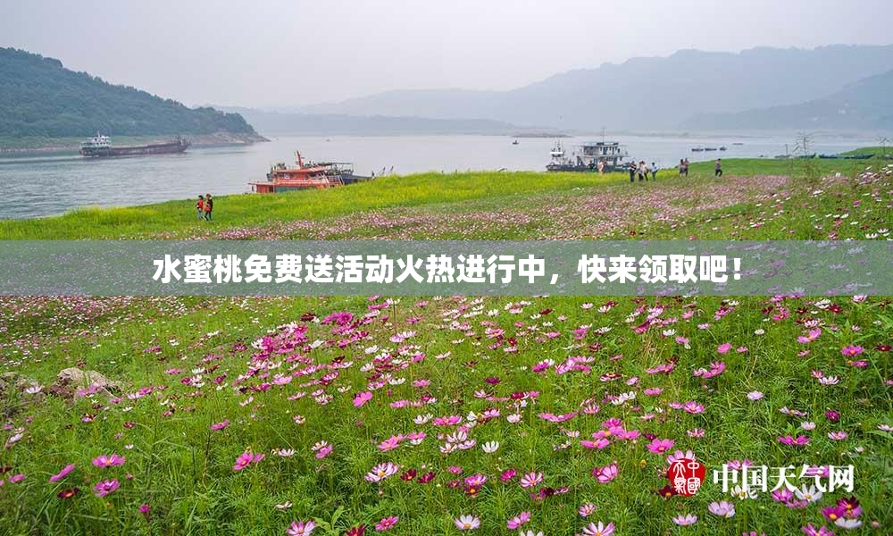 水蜜桃免费送活动火热进行中，快来领取吧！