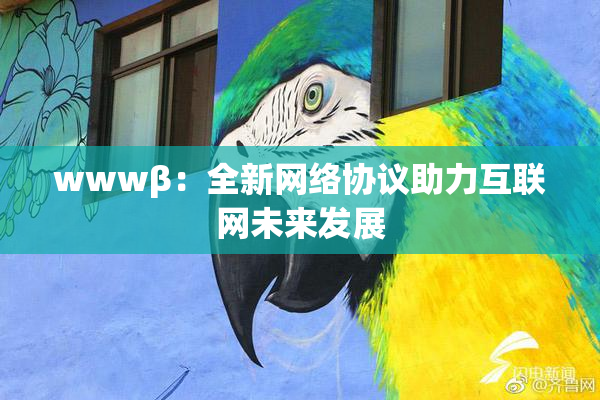 wwwβ：全新网络协议助力互联网未来发展