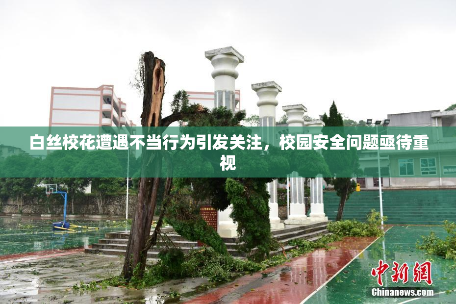 白丝校花遭遇不当行为引发关注，校园安全问题亟待重视