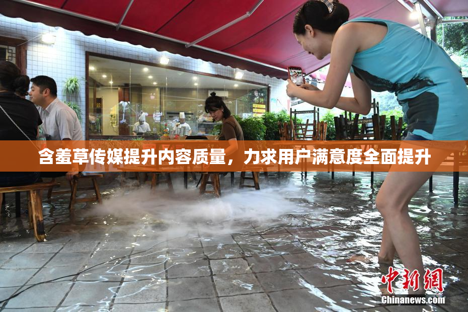 含羞草传媒提升内容质量，力求用户满意度全面提升