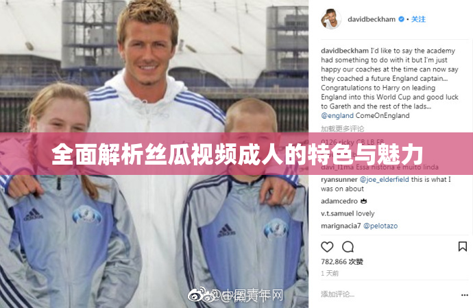 全面解析丝瓜视频成人的特色与魅力