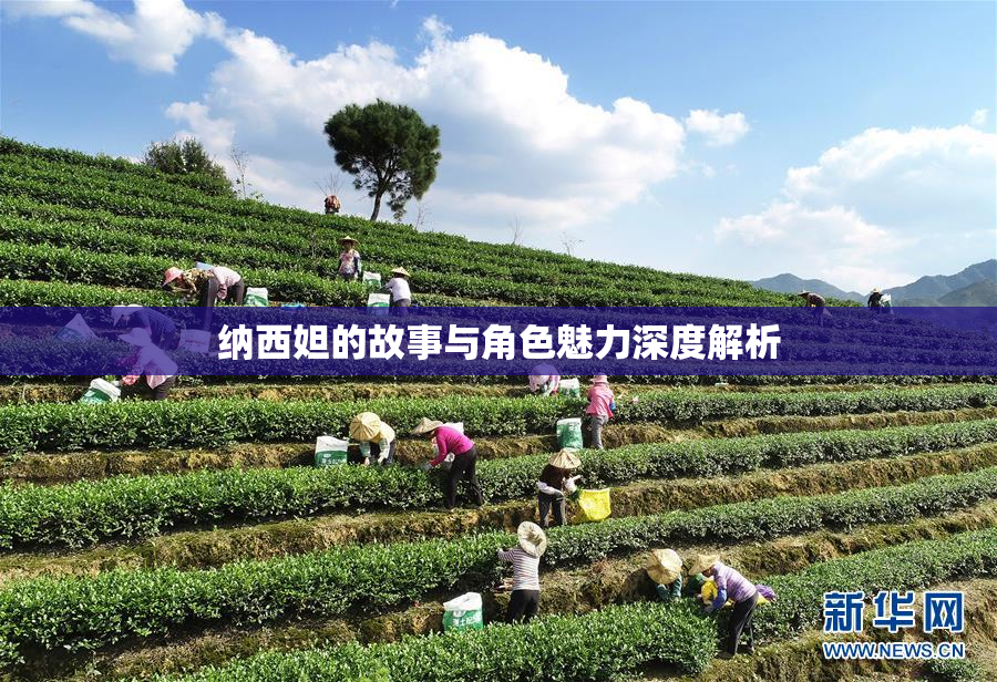 纳西妲的故事与角色魅力深度解析