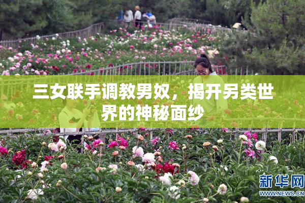 三女联手调教男奴，揭开另类世界的神秘面纱