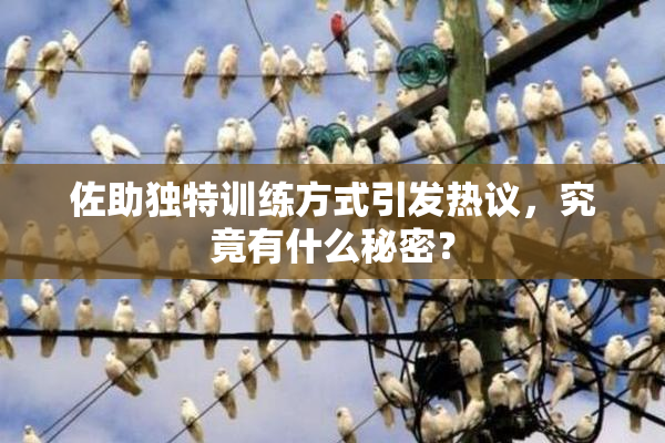 佐助独特训练方式引发热议，究竟有什么秘密？