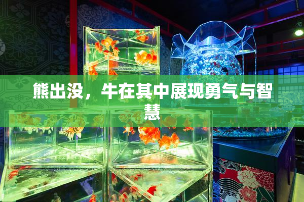 熊出没，牛在其中展现勇气与智慧