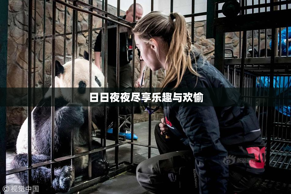 日日夜夜尽享乐趣与欢愉