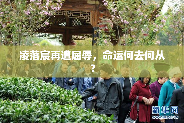 凌落宸再遭屈辱，命运何去何从？