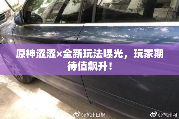 原神涩涩×全新玩法曝光，玩家期待值飙升！