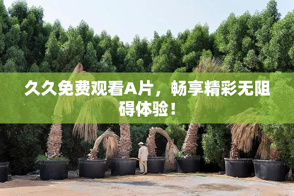 久久免费观看A片，畅享精彩无阻碍体验！