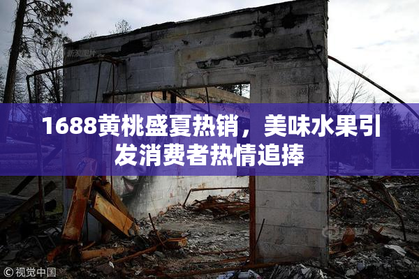 1688黄桃盛夏热销，美味水果引发消费者热情追捧