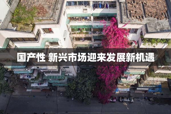 国产性 新兴市场迎来发展新机遇