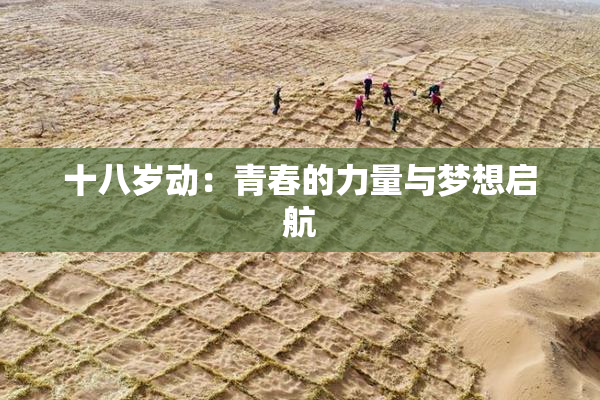 十八岁动：青春的力量与梦想启航