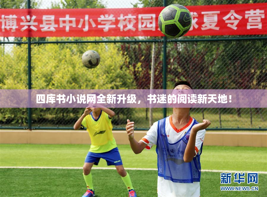 四库书小说网全新升级，书迷的阅读新天地！