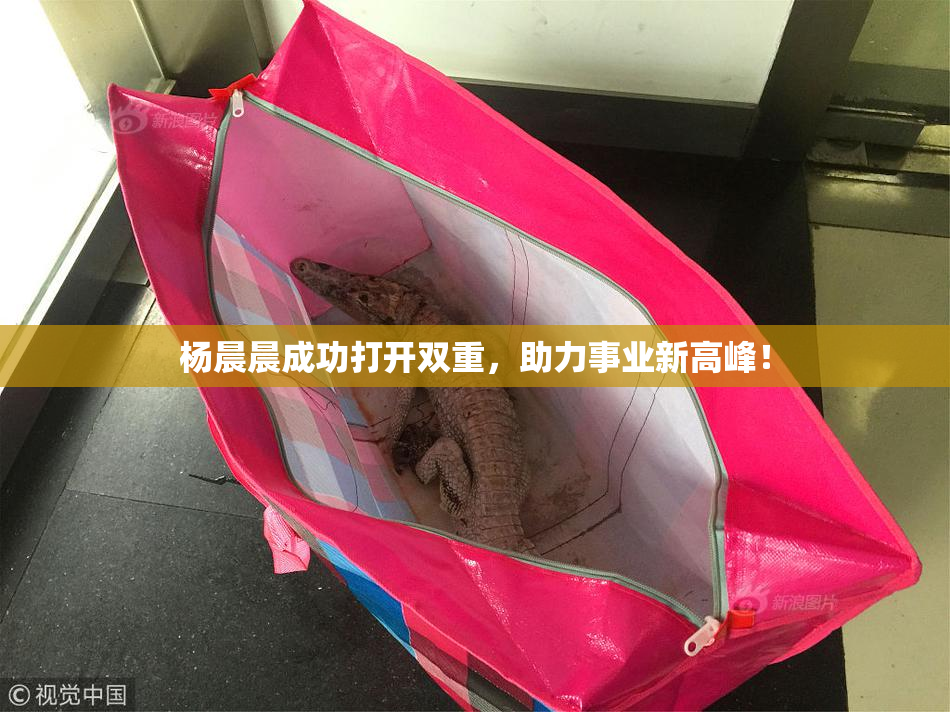 杨晨晨成功打开双重，助力事业新高峰！