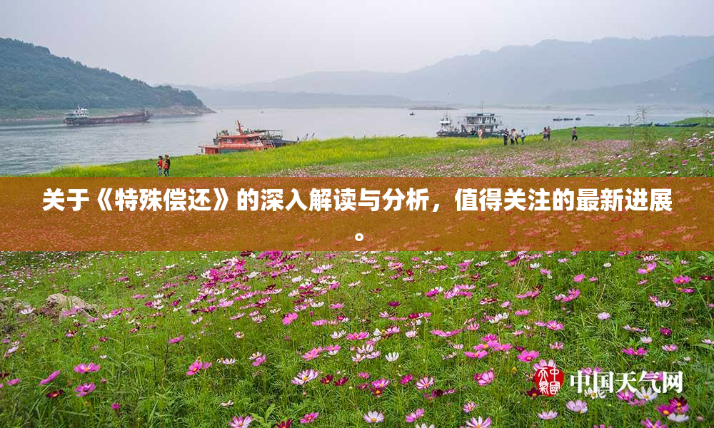 关于《特殊偿还》的深入解读与分析，值得关注的最新进展。