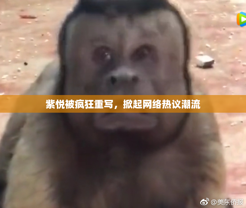 紫悦被疯狂重写，掀起网络热议潮流
