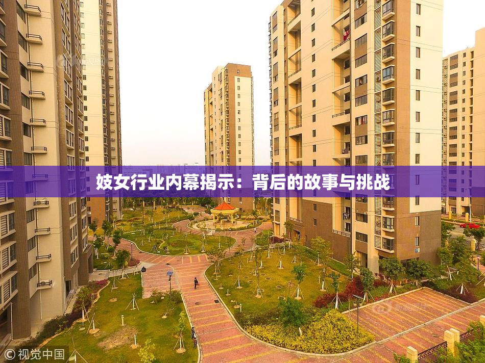 妓女行业内幕揭示：背后的故事与挑战