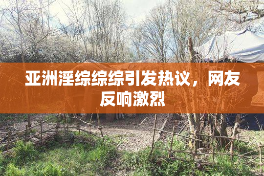 亚洲淫综综综引发热议，网友反响激烈