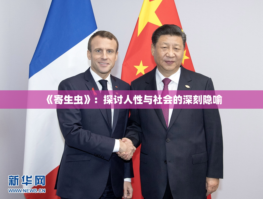 《寄生虫》：探讨人性与社会的深刻隐喻