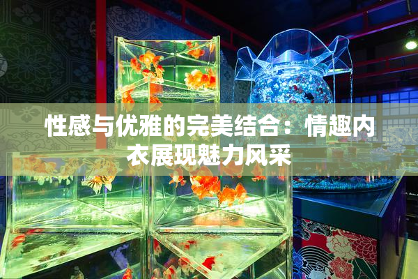 性感与优雅的完美结合：情趣内衣展现魅力风采