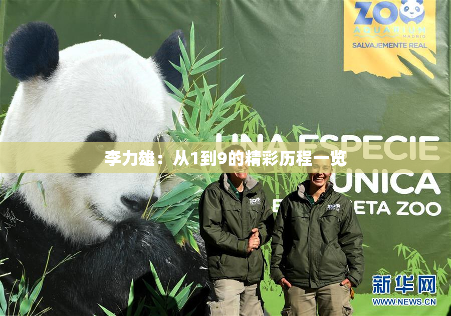 李力雄：从1到9的精彩历程一览