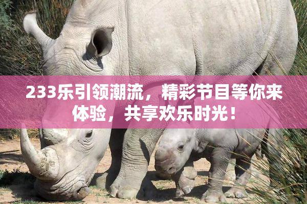 233乐引领潮流，精彩节目等你来体验，共享欢乐时光！