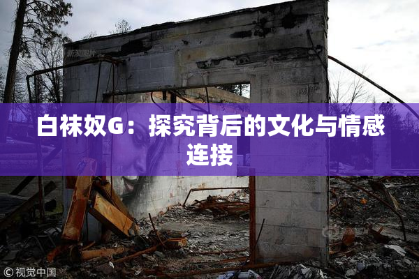白袜奴G：探究背后的文化与情感连接