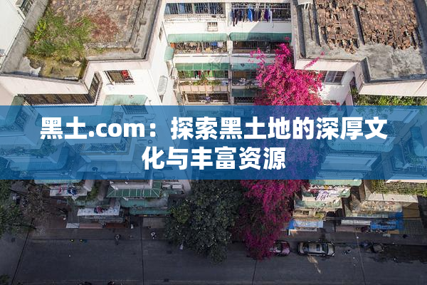 黑土.com：探索黑土地的深厚文化与丰富资源