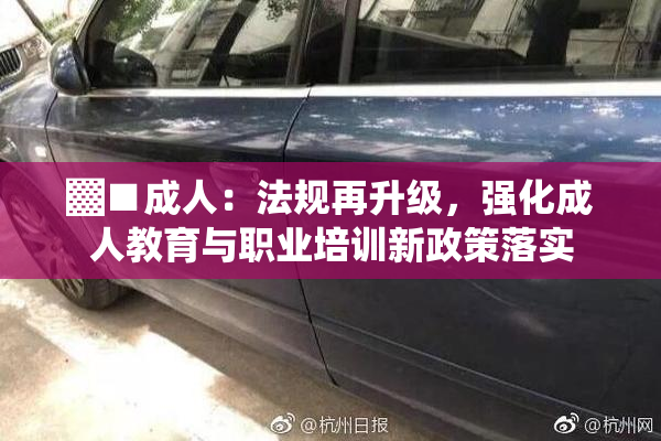▓■成人：法规再升级，强化成人教育与职业培训新政策落实