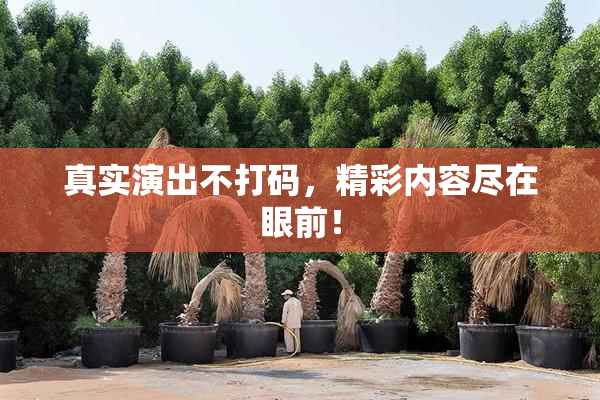 真实演出不打码，精彩内容尽在眼前！