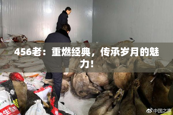 456老：重燃经典，传承岁月的魅力！