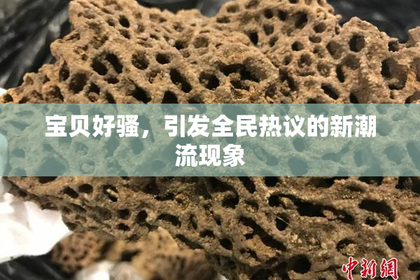 宝贝好骚，引发全民热议的新潮流现象