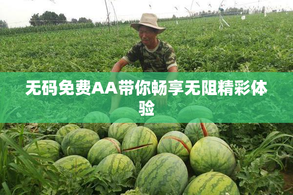 无码免费AA带你畅享无阻精彩体验