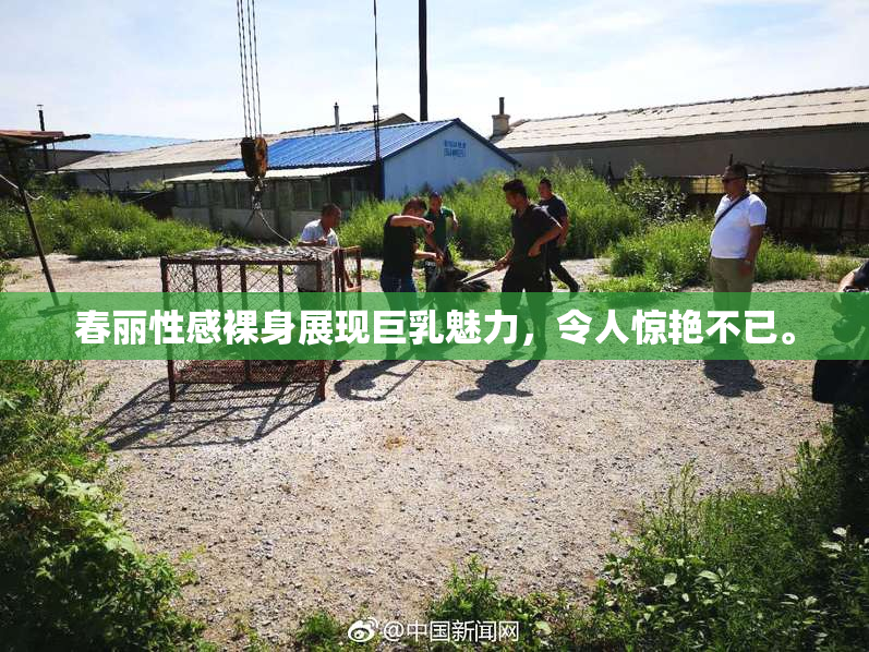 春丽性感裸身展现巨乳魅力，令人惊艳不已。