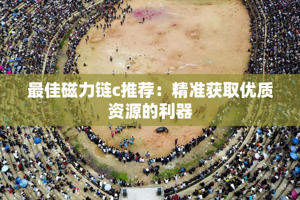 最佳磁力链c推荐：精准获取优质资源的利器
