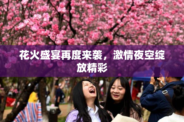 花火盛宴再度来袭，激情夜空绽放精彩