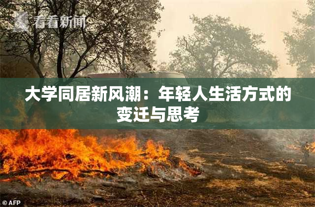 大学同居新风潮：年轻人生活方式的变迁与思考